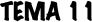 TEMA 11