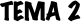 TEMA 2